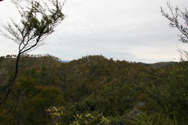 Nieuw-Zeeland 2011 - 1034